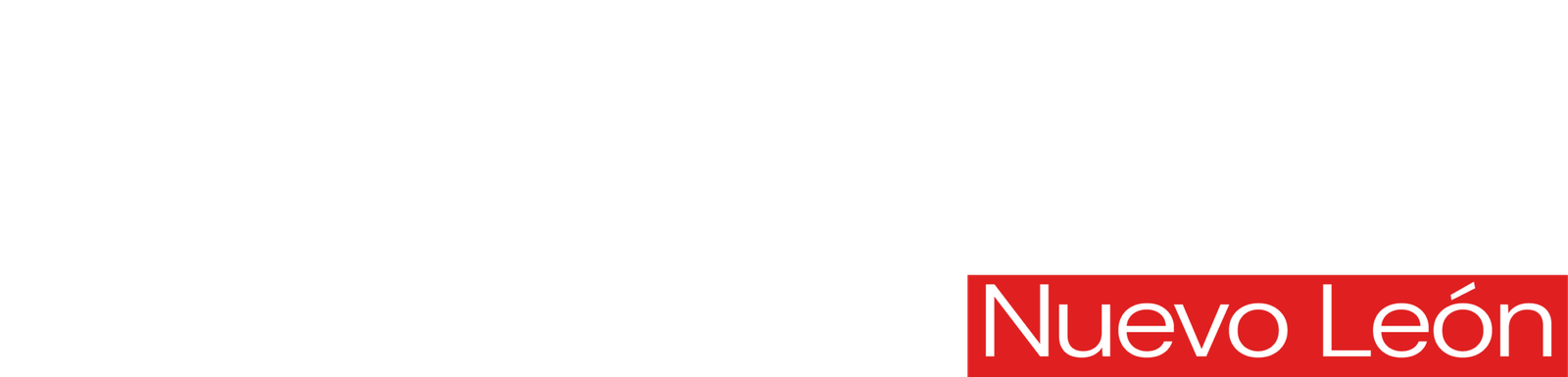 exclusivasnuevoleon.com.mx